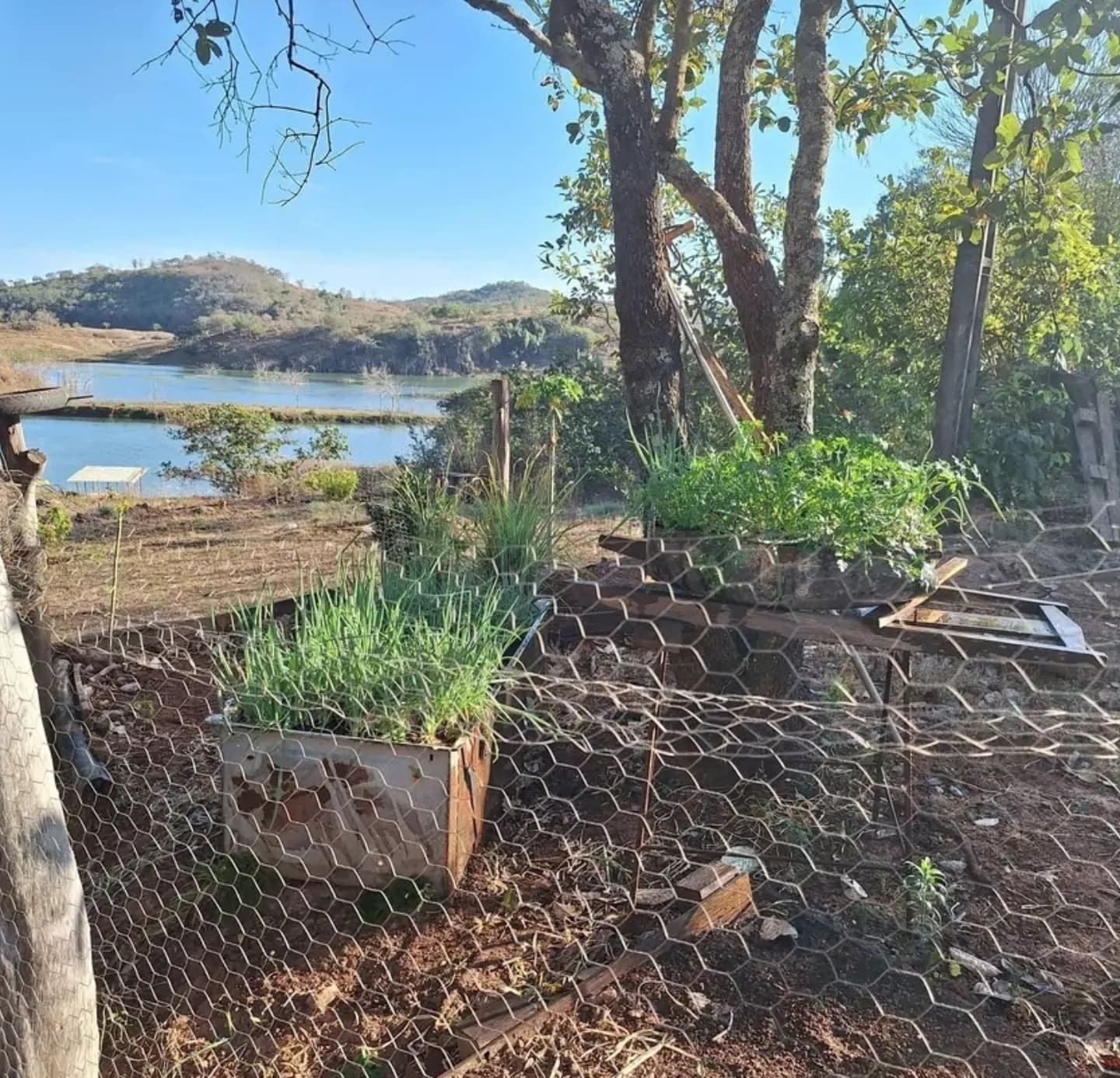 Chácara à venda à beira do Rio São Marcos – Próximo a Ouvidor | Ouvidor-GO | 0,3 hectares — foto 3