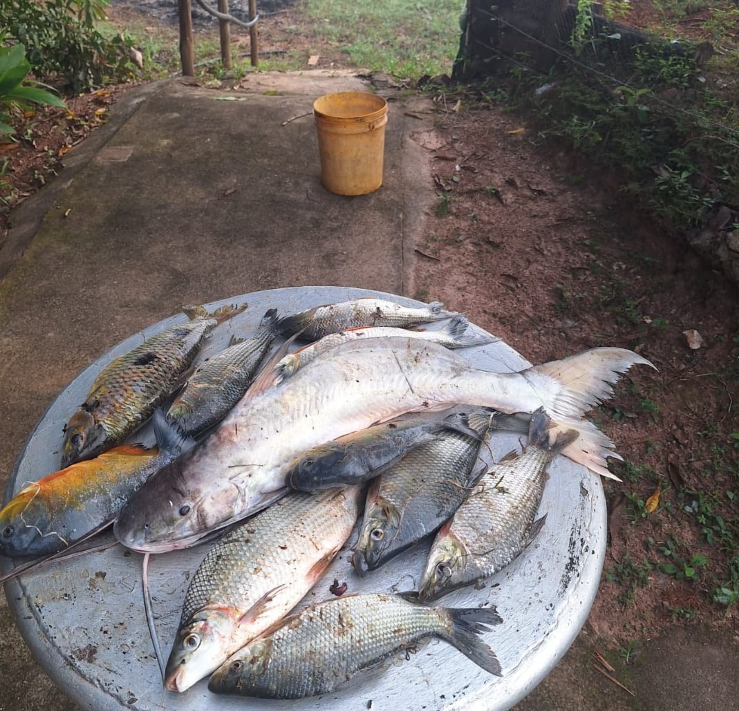 Chácara à venda à beira do Rio São Marcos – Próximo a Ouvidor | Ouvidor-GO | 0,3 hectares — foto 12