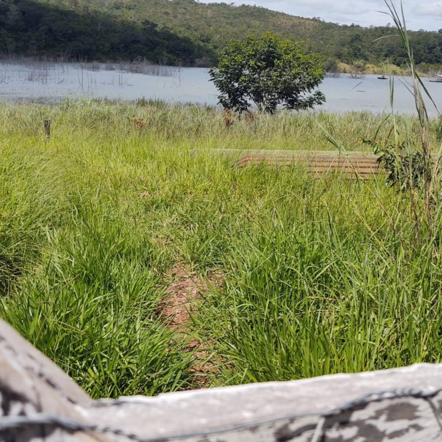 RANCHO “CASA” – BEIRA DA REPRESA | 1 hectares — foto 6