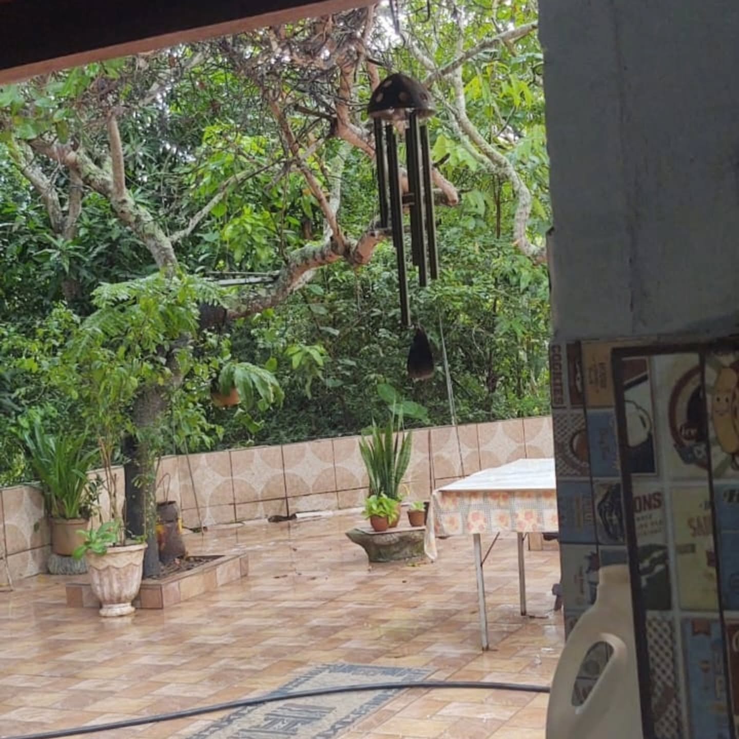RANCHO “CASA” – BEIRA DA REPRESA | 1 hectares — foto 8