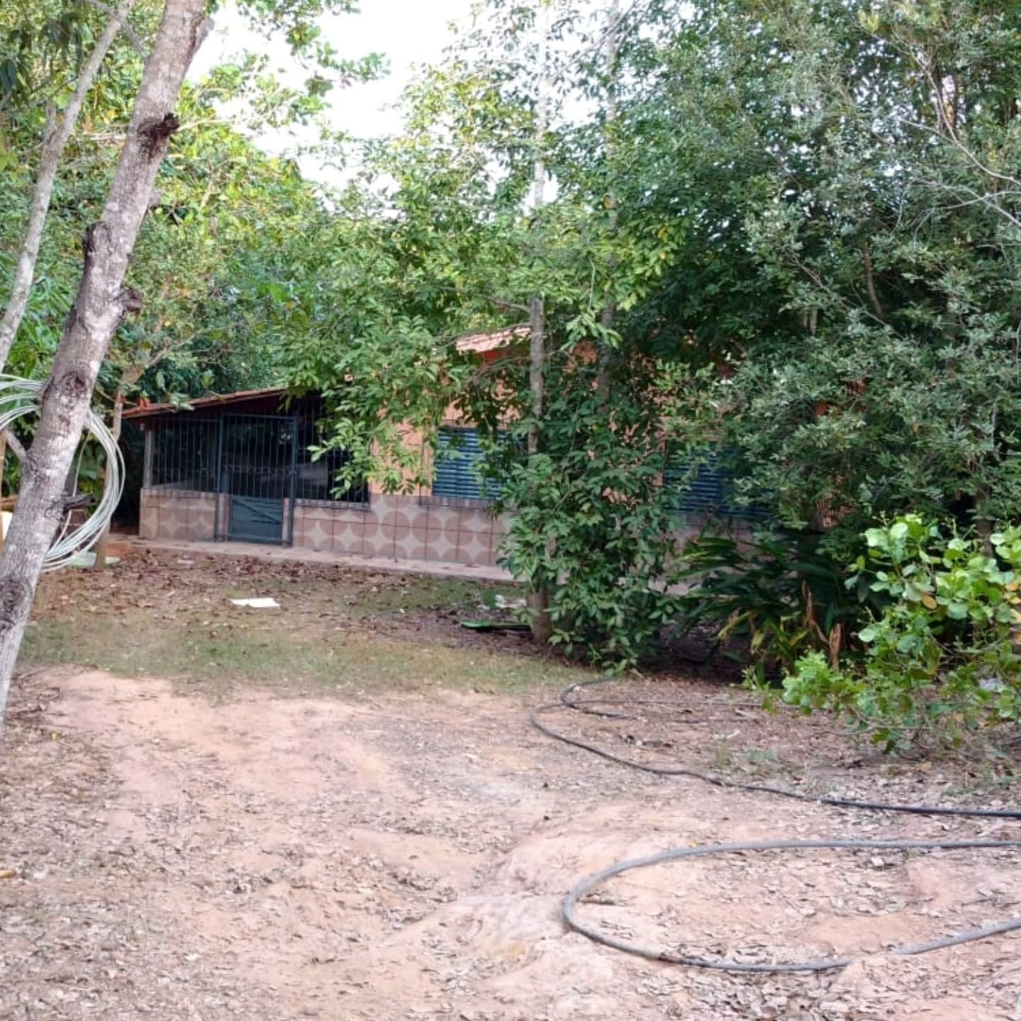 RANCHO “CASA” – BEIRA DA REPRESA | 1 hectares — foto 9
