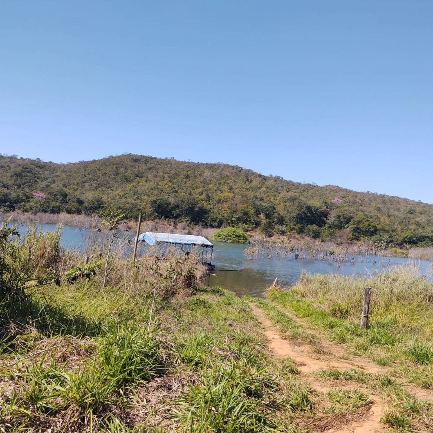 RANCHO “CASA” – BEIRA DA REPRESA | 1 hectares — foto 10