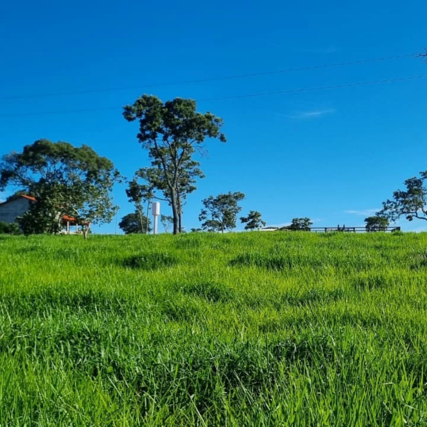 OPORTUNIDADE ÚNICA | Três Ranchos-GO | 30,61 hectares — foto 3