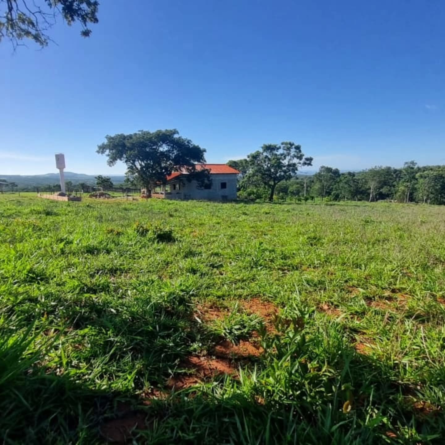 OPORTUNIDADE ÚNICA | Três Ranchos-GO | 30,61 hectares — foto 6