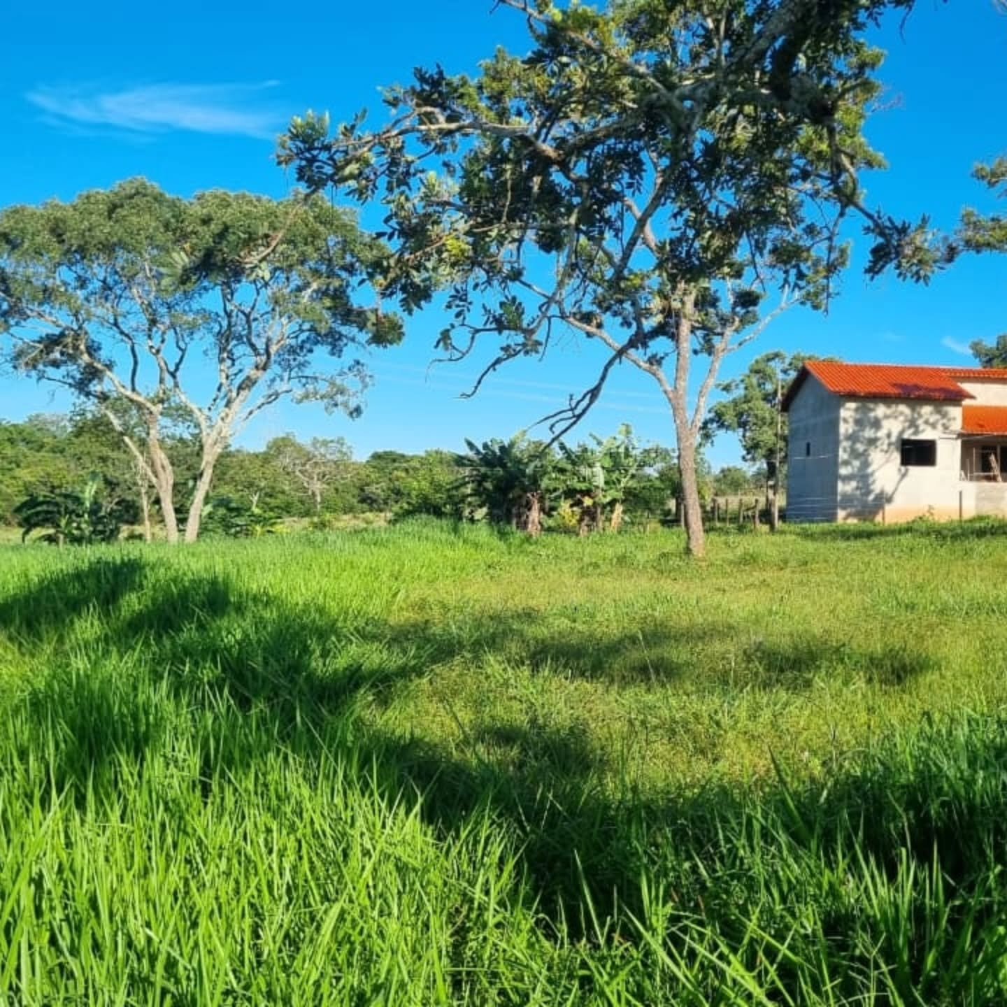 OPORTUNIDADE ÚNICA | Três Ranchos-GO | 30,61 hectares — foto 8