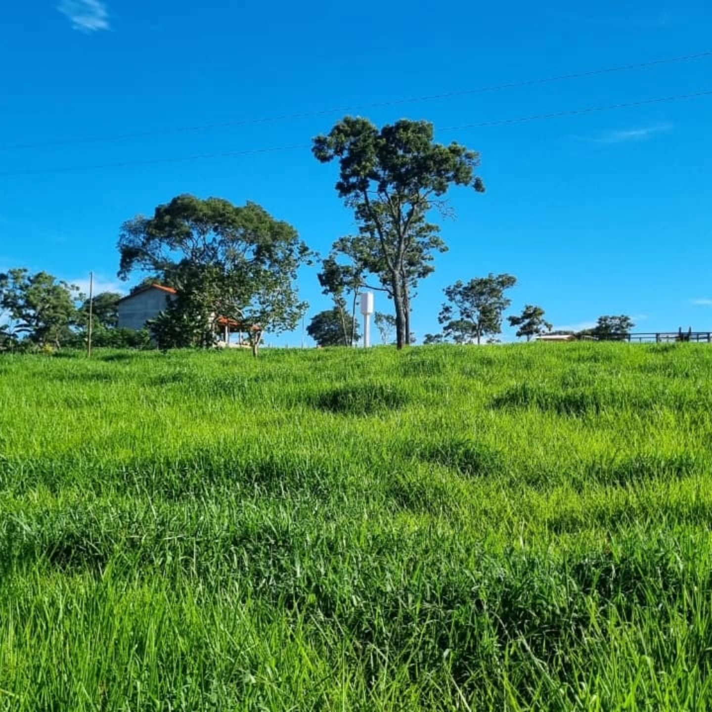 OPORTUNIDADE ÚNICA | Três Ranchos-GO | 30,61 hectares — foto 9