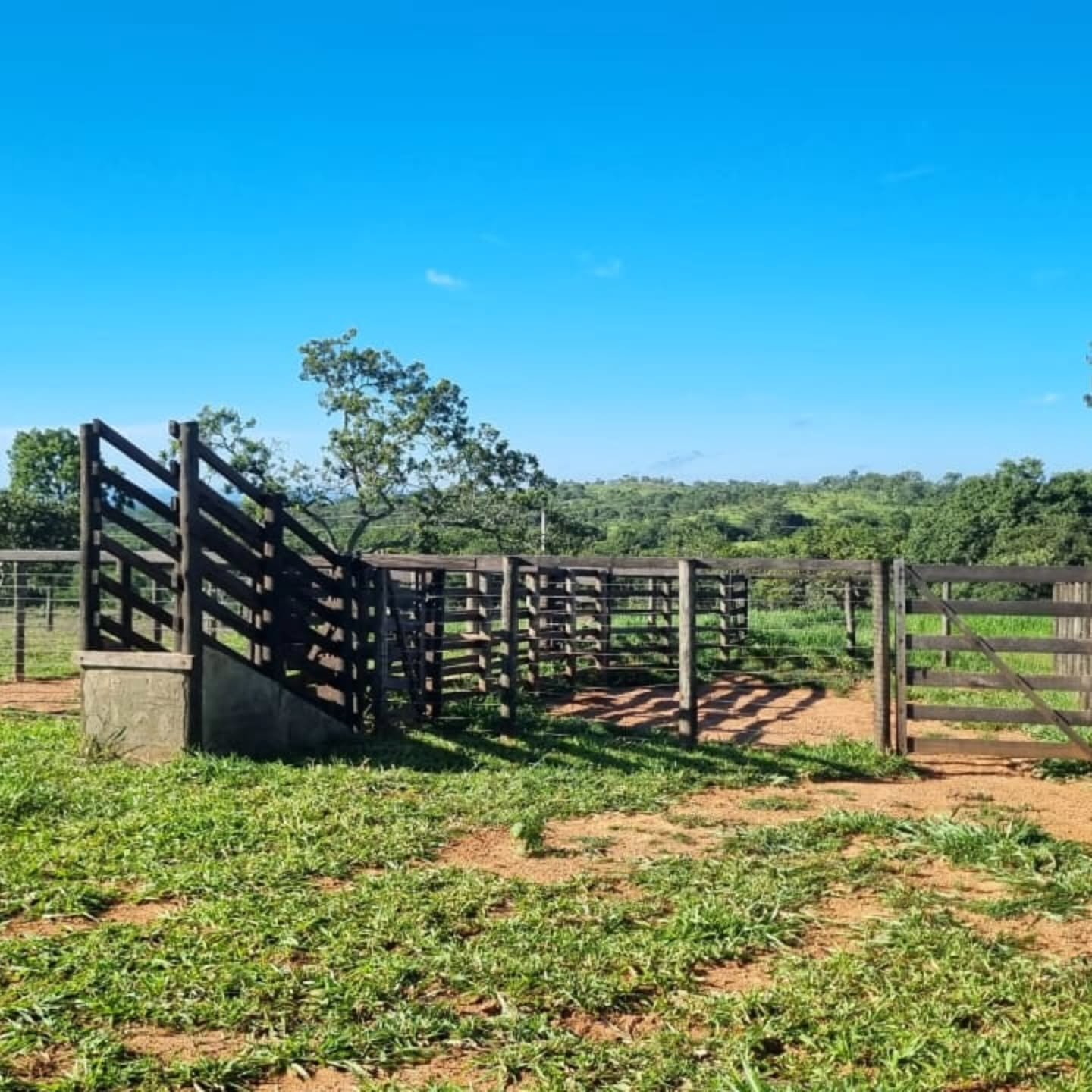OPORTUNIDADE ÚNICA | Três Ranchos-GO | 30,61 hectares — foto 10