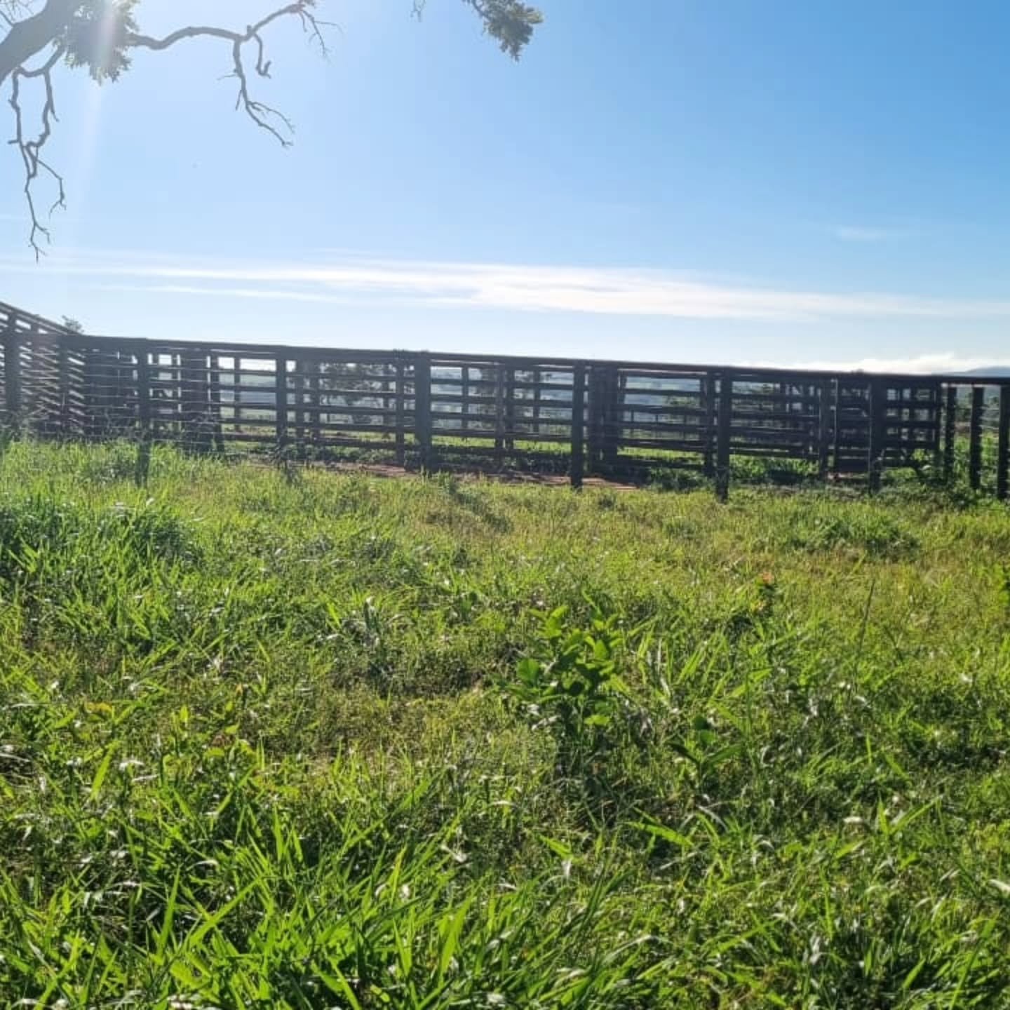 OPORTUNIDADE ÚNICA | Três Ranchos-GO | 30,61 hectares — foto 12