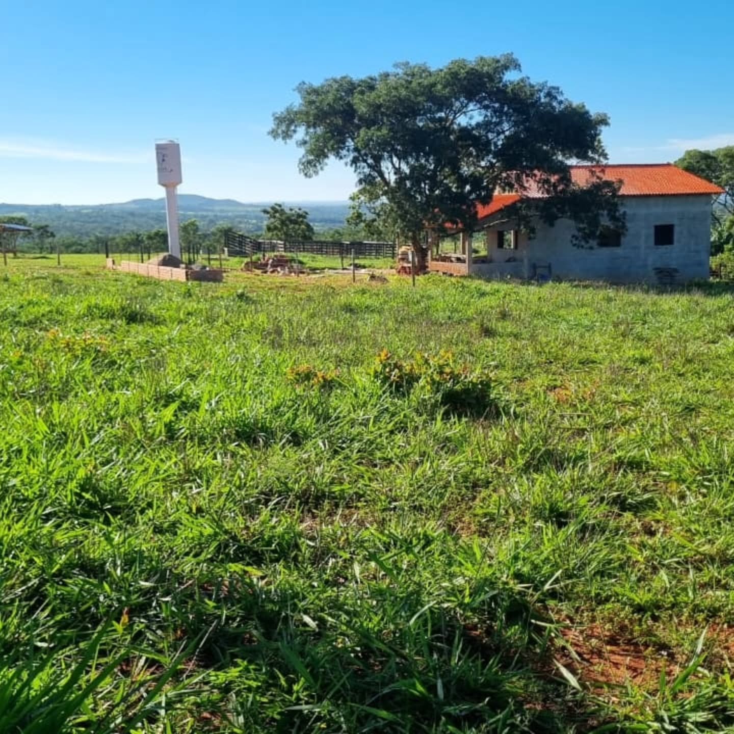 OPORTUNIDADE ÚNICA | Três Ranchos-GO | 30,61 hectares — foto 16