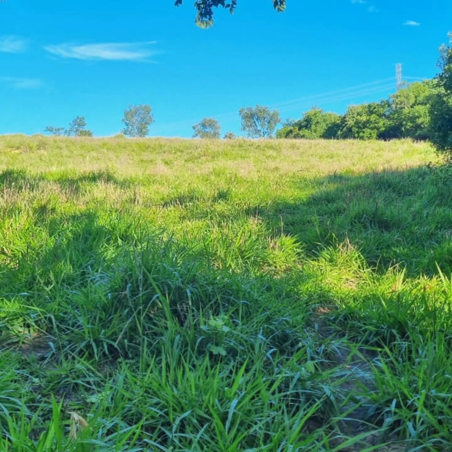 OPORTUNIDADE ÚNICA | Três Ranchos-GO | 30,61 hectares — foto 17