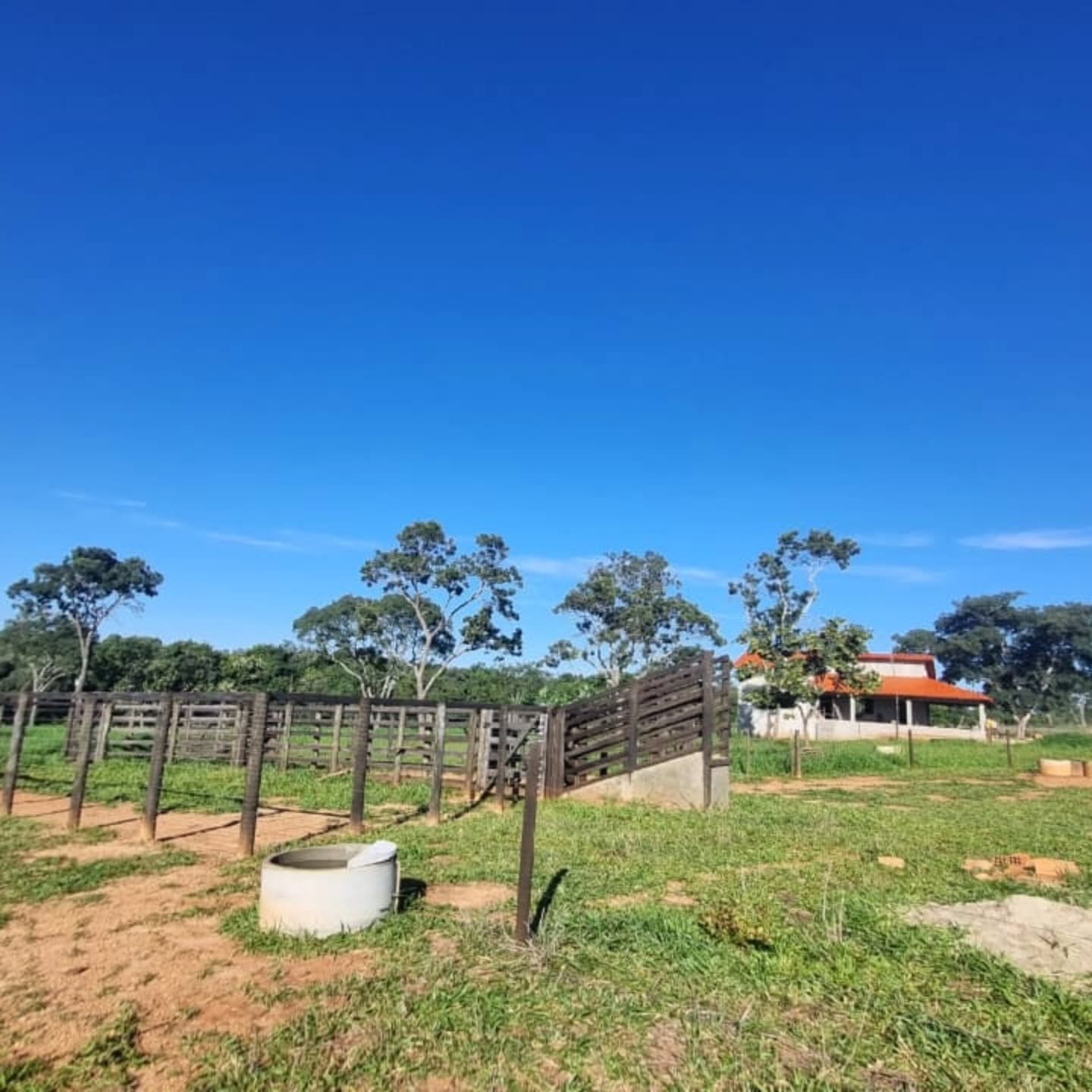 OPORTUNIDADE ÚNICA | Três Ranchos-GO | 30,61 hectares — foto 19