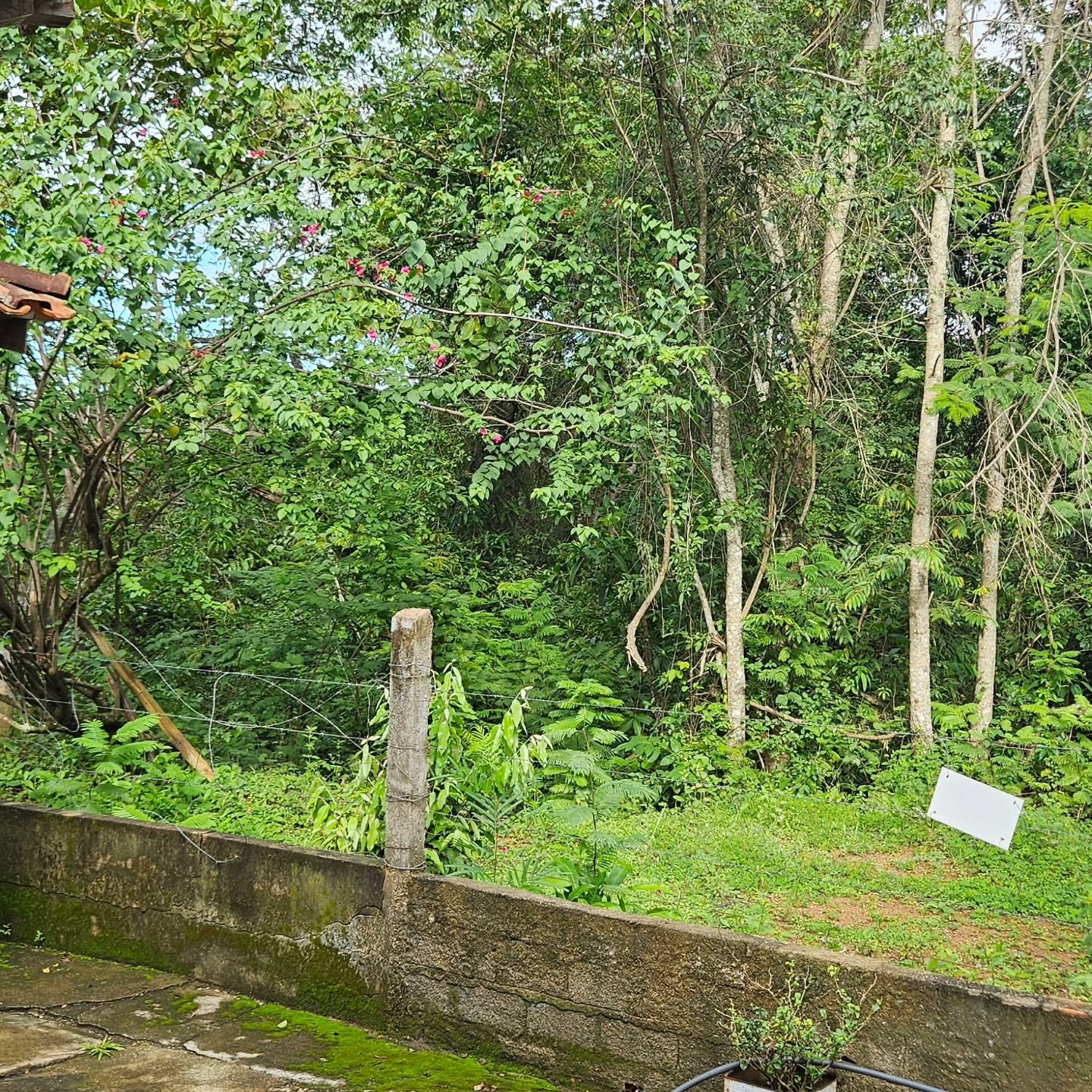 CHÁCARA – 11.100 m² | Catalão-GO | 1,11 hectares — foto 1