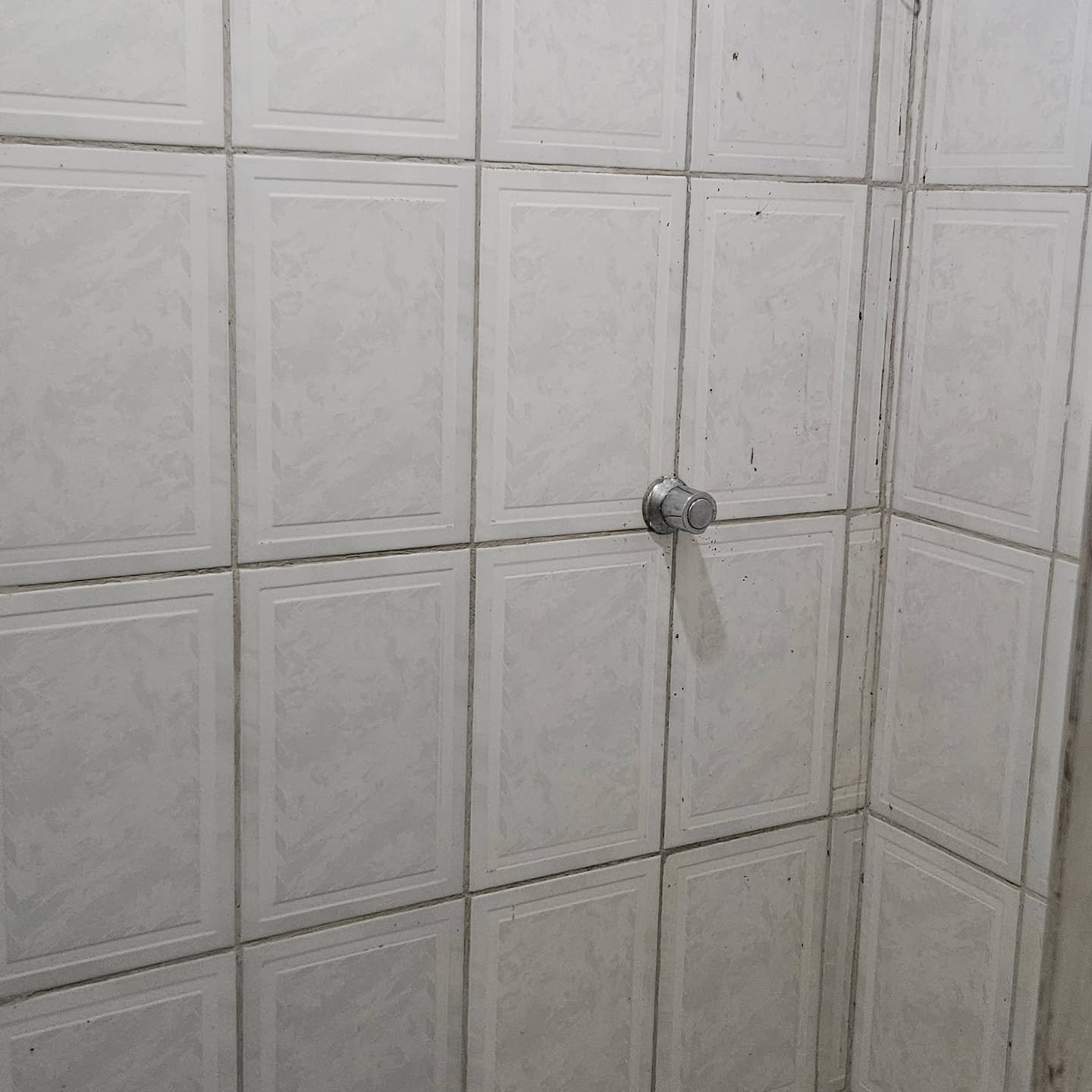 CHÁCARA – 11.100 m² | Catalão-GO | 1,11 hectares — foto 20