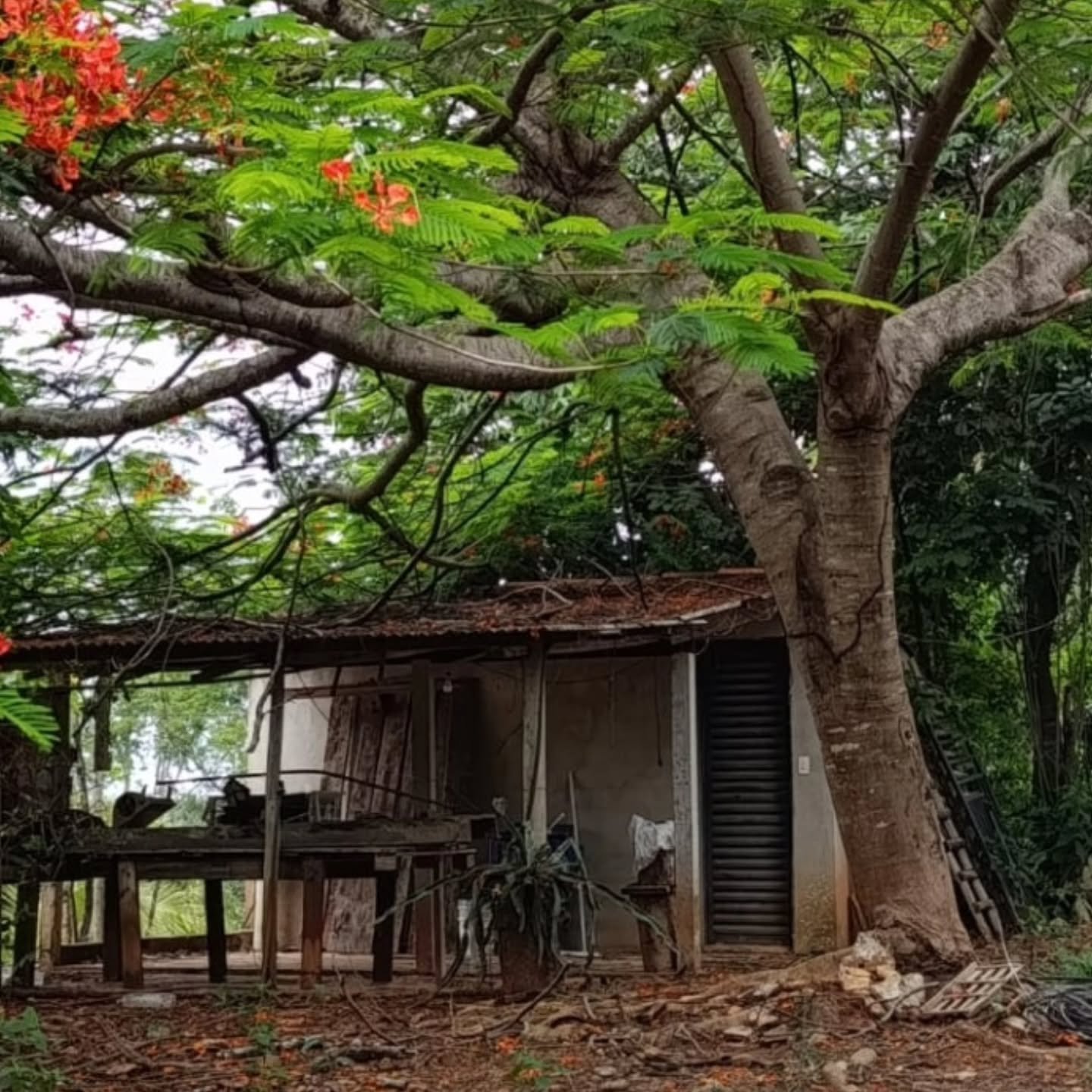 CHÁCARA À VENDA EM TRÊS RANCHOS | Três Ranchos-GO | 0,45 hectares — foto 2