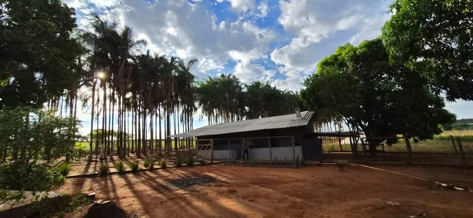 Casa e varanda em meio u00e0 arborizau00e7u00e3o da propriedade.