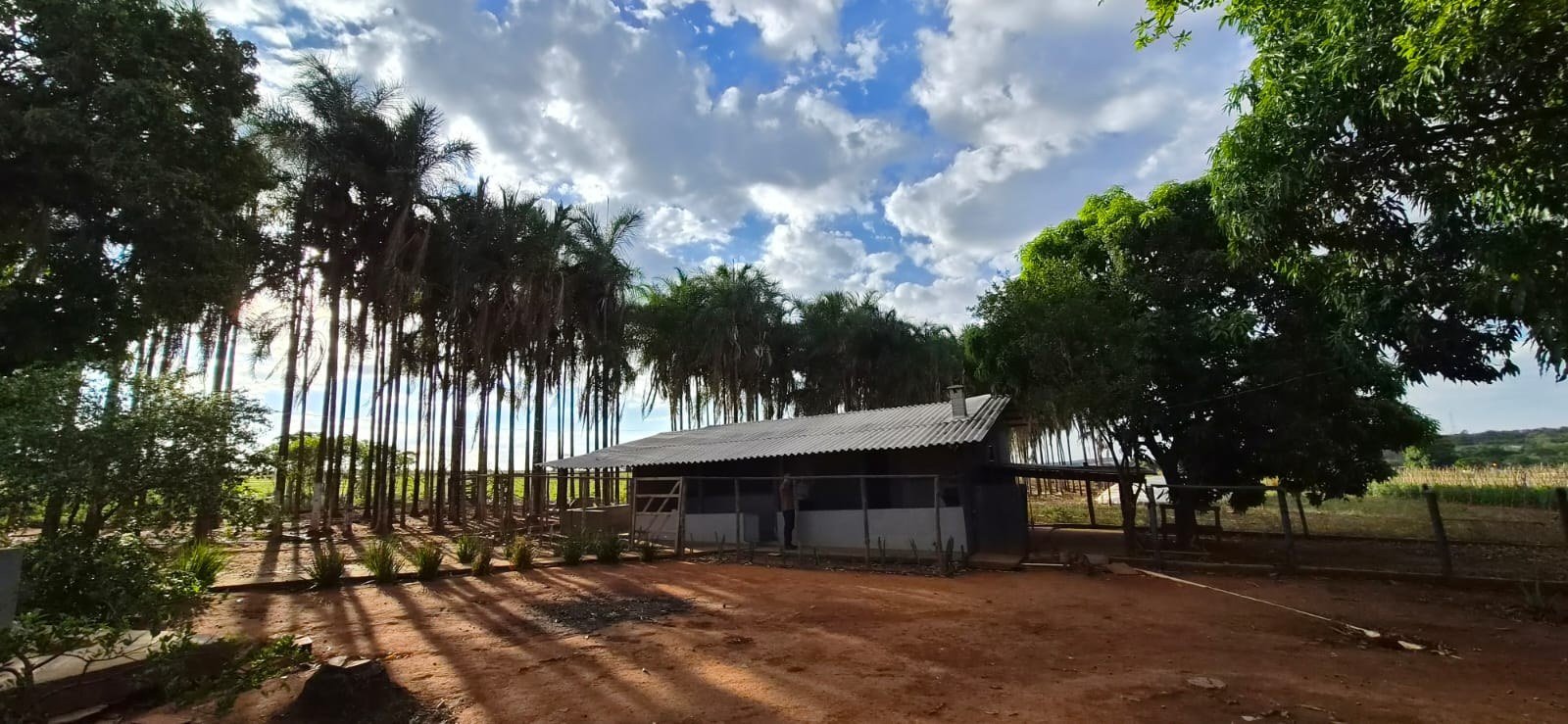 u00c1rea externa e paisagismo da sede.