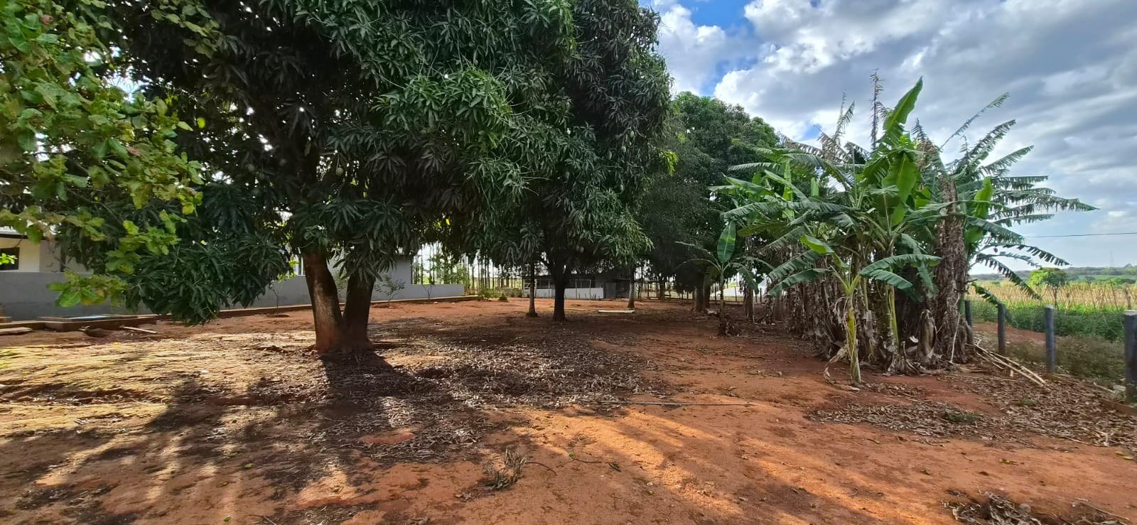 u00c1rea arborizada e espau00e7os externos da chu00e1cara.