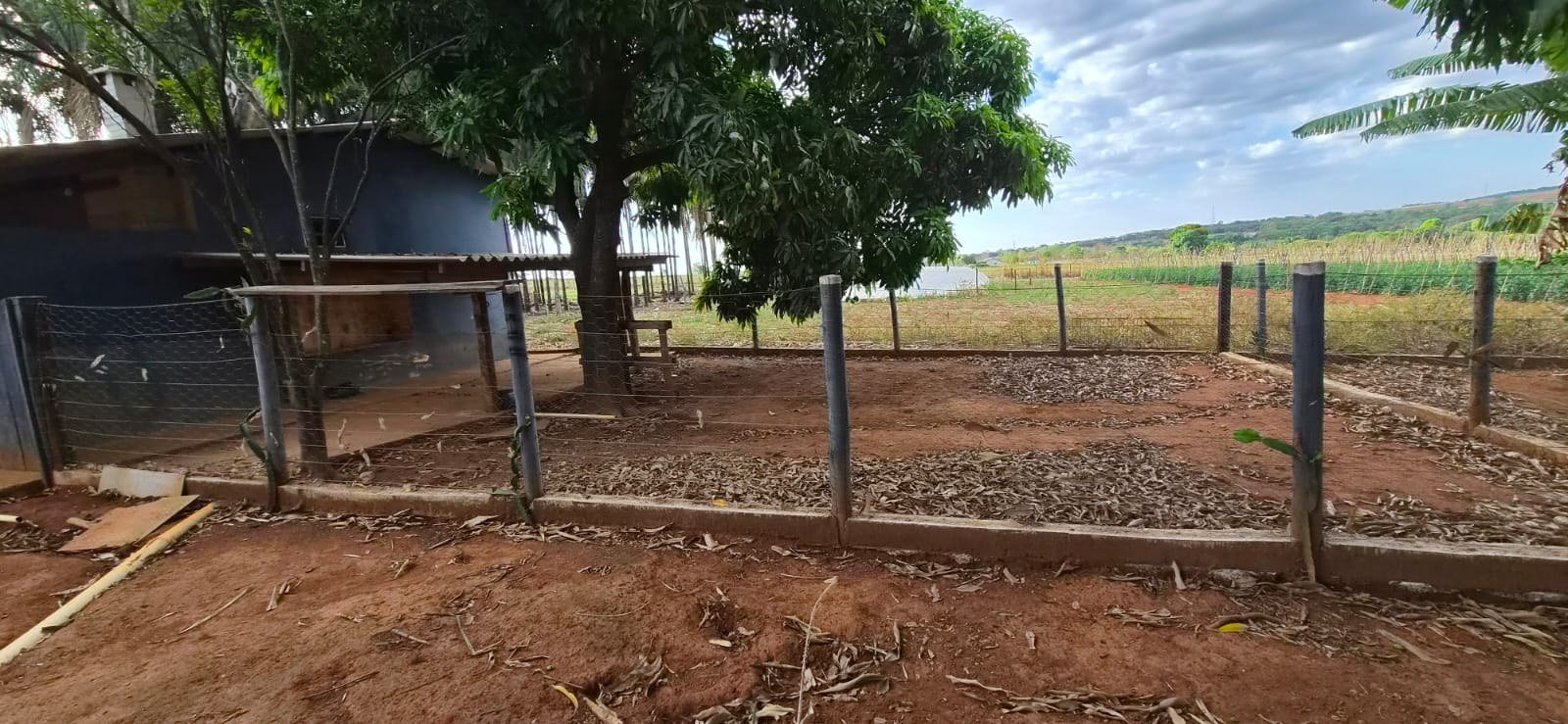 Estrutura de apoio e u00e1rea para criau00e7u00e3o na propriedade.