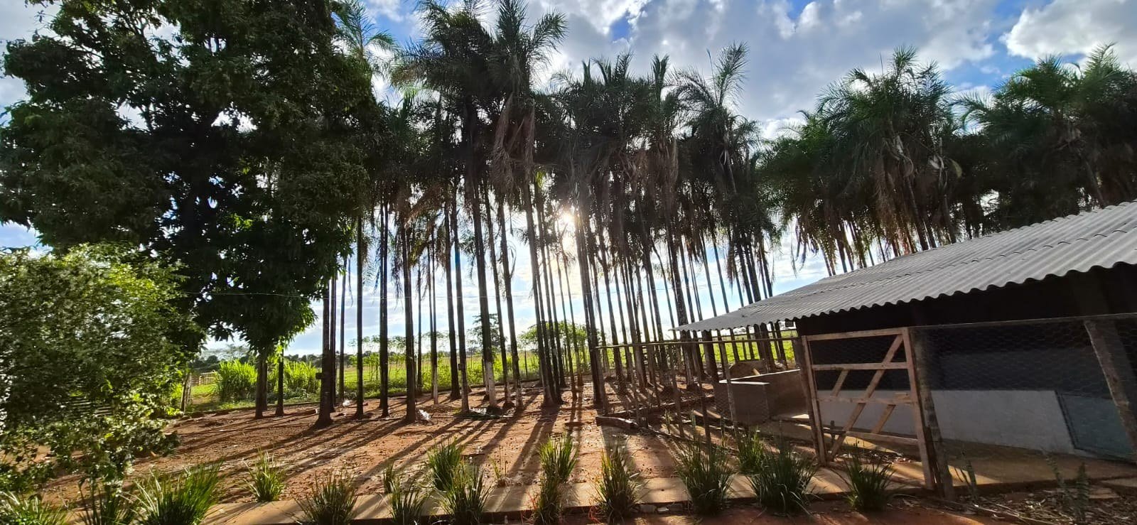 u00c1rea aberta da propriedade com paisagem rural.