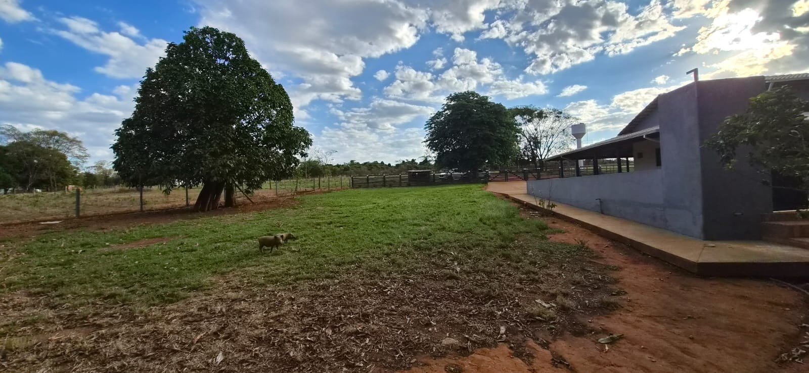 Espau00e7o cercado e acesso interno da chu00e1cara.